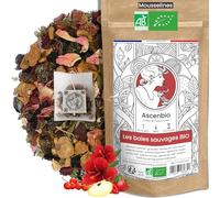 Ascenbio ✿ Infusion Baies Sauvages BIO ✿ Détox & Hydratation ✿ Saveurs Hibiscus Fruits Rouges ✿ 30 sachets mousselines ✿ Préparé et conditionné en France ✿ Emballage biodégradable
