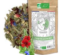 Ascenbio ✿ Infusion Coup de Pouce BIO ✿ Yerba Maté Parfumé ✿ Energie Concentration ✿ 180 g vrac ✿ Préparé et conditionné en France ✿ Emballage biodégradable