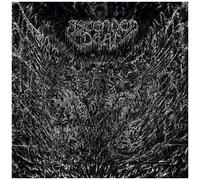 Ascended Dead - Evenfall Of The Apocalypse [Compact Discs]