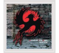 Ascending From Ashes - Phoenix Rising