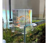 Ascenseur de poissons pour aquarium inversé, transparent au-dessus de l'eau, remplissage automatique en acrylique, entretien du niveau d'eau, aquarium suspendu sous vide pour animaux aquatiques