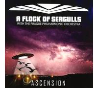 Ascension-Orchestral Versions Of Hits
