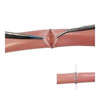 asdchZen Modèle De Suture De La Muqueuse Intestinale, Modèle Intestinal Simulé À Double Couche, Modèle De Suture Séreuse des Gros Vaisseaux Sanguins pour La Formation des Infirmières