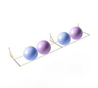 asdchZen Support De Rangement pour Ballons De Yoga, Organisateur pour Ballons Médicinaux/Ballons De Stabilité, Support De Rangement pour 2 À 7 Ballons De Fitness, Doré, L, 320 Cm (126 Pouces).