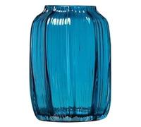 asdchZen Vase À Fleurs Créatif Européen en Verre Transparent, Vase Hydroponique, Vase pour Fleurs, E, 13 X 31 Cm