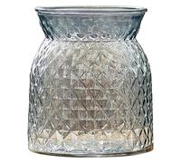 asdchZen Vase À Fleurs, Vase en Verre, Vase Décoratif Moderne, Vase Hydroponique pour Compositions Florales Et Centres De Table, Vases pour Fleurs, Grey Wolf