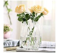 asdchZen Vase en Verre pour Fleurs, Style Moderne Et Épuré, Soufflé À La Main, Forme Verticale, Transparent, Motif Lys Et Roses, Inspiré du Bambou. Vase en Verre pour La Maison, B, 20 X 9,5 Cm.