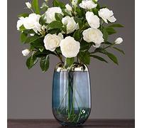 asdchZen Vase pour Fleurs, Vase en Verre Décoratif, Moderne, Simple, Transparent, Créatif, Composition Florale, Salon, Ameublement, L