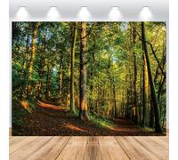 ASDCXZ Toile de Fond de Forêt 2,2x1,5 m, Nature Enchantée Verte Forêt Tropicale Jungle Paysage Soleil Vinyle Fond de Photographie Anniversaire Baby Shower Party Photo Studio Accessoires