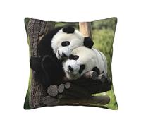 ASEELO Deux grands pandas 45,7 x 45,7 cm, coussin décoratif carré pour canapé, lit, canapé, banc, chaise