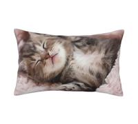 ASEELO Housses de coussin 60 x 40 cm, motif chat endormi, impression double face, housse de coussin avec fermeture éclair invisible, taie d'oreiller décorative pour canapé
