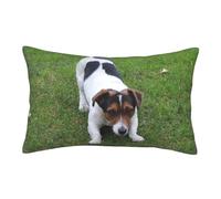 ASEELO Housses de coussin 60 x 40 cm, motif chien Jack Russell, impression double face, housse de coussin avec fermeture éclair invisible, taie d'oreiller décorative pour canapé