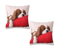 ASEELO Lot de 2 housses de coussin de 40 x 40 cm, motif chien mignon endormi, impression double face, avec fermeture éclair invisible, housse de coussin décorative pour canapé