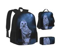ASEELO Lot de 3 sacs à dos d'école, trousse à crayons, sac à déjeuner, sac à dos pour filles et garçons, Chouette la nuit, School bag + pencil case + lunch bag combination