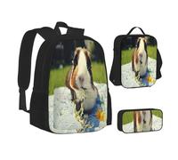 ASEELO Lot de 3 sacs à dos d'école, trousse à crayons, sac à déjeuner, sac à dos pour filles et garçons, Cochons d'Inde drôles, School bag + pencil case + lunch bag combination