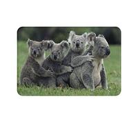 ASEELO Paillasson antidérapant en forme d'ours koala - 40 x 60 cm