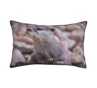 ASEELO Taies d'oreiller 60 x 40 cm, motif loutre jouant dans l'eau, impression double face avec fermeture éclair invisible, taie d'oreiller décorative pour canapé