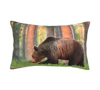 ASEELO Taies d'oreiller 60 x 40 cm Ours marron Impression double face Housse de coussin avec fermeture éclair invisible Taie d'oreiller décorative pour canapé