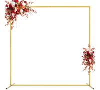 Asee'm Arche de Fond carrée en métal pour Mariage, Anniversaire, fête prénatale, Anniversaire de Mariage, décoration de Ballons de 2 m x 2 m