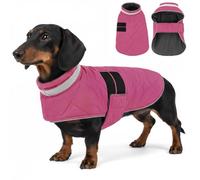 ASENKU Manteau Chien Hiver M pour Chien Moyen, Veste Imperméable Coupe-Vent Réfléchissante, Doublure Polaire Chaude, Taille Ajustable, Ouverture Collier - pour Beagle, Teckel, Cavalier King Charles