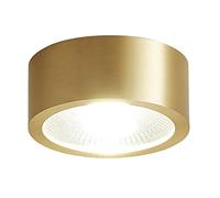 ASerZenith Lot De 2 Spots Encastrés LED 3/4/5 Pouces en Laiton, Plafonnier Rond À Montage Encastré pour Couloir, 5 W, 7 W, 9 W, 12 W, Kit De Conversion De Remplacement pour Spots en,Gold-5W