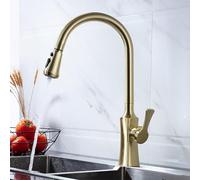 ASerZenith Robinet De Cuisine avec Douchette Extractible, Poignée Unique, Eau Chaude Et Froide, 2 Jets, Laiton, Finition Noire Mate.(Or Brossé)