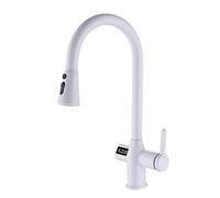ASerZenith Robinet D'Évier De Cuisine avec Affichage Numérique De La Température, Robinet De Cuisine, Robinet De Cuisine avec Douchette Extractible, Robinet D'Évier Pivotant À 360°,