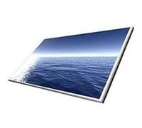 Asetek Écran LED HP Mini 210-1010EK 10,1 WSVGA pour ordinateur portable