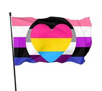 Asexual Ace Panromantic Pan Genderfluid Heart Pride Flag Theme Welcome Party Outdoor Décorations Orment Picks Home House Garden Yard Decor 0,9 x 1,5 m Petit drapeau