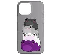 Asexual Flag Color Frog Subtle Queer Pride LGBTQ Aesthetic Coque pour iPhone 16 Pro Max