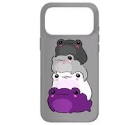 Asexual Flag Color Frog Subtle Queer Pride LGBTQ Aesthetic Coque pour iPhone 17 Pro Max
