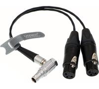 ASFASFq-10 broches vers XLR 3 broches pour enregistreur audio Atomos Shogun 30 cm, Right Angle 10 Pin to 2*XLR