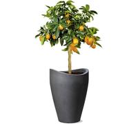 ASFASFq-54265 254/40 Wave Globe High Pot de Fleurs Plastique Noir 30 x 30 x 40 cm