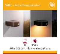 Asfasfq-94730 Luminaire D'extérieur Led Applique Solaire Eileen Détecteur De Mouvement Ip44 2200k 300lm Respect Insectes Noir Rechargeable, Matière Plastique, 5.5 W