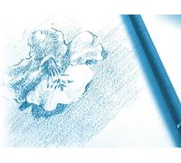 ASFASFq-97118C Bloc Encollé Papier Dessin à Grain - 20 Feuilles Papier Dessin au Grain Marqué - A4 21x29,7 cm 125g - Idéal pour le Dessin Scolaire
