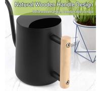 ASFASFq-Arrosoir 1 l, arrosoir pour plantes d'intérieur - Arrosoir avec long bec et poignée en bois confortable - Arrosoir en acier inoxydable noir pour plantes en pot - Plantes succulentes - Arrosoi