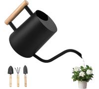 ASFASFq-Arrosoir en Acier Inoxydable,1L Arrosoir pour Plantes D'intérieur,Arrosoir Petit avec Long Bec et Outils de Jardinage en Pot,Poignée en Bois Confortable,Arrosoir Plante pour Fleurs de Jardin