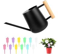 ASFASFq-Arrosoir Plante Interieur, 1L Petit Arosoir à Long Bec en Acier Inoxydable,Arrosoir Jardin Metal avec Poignée Ronde en Bois, pour Plantes Extérieures, Plantes Succulentes, Jardins d'herbes