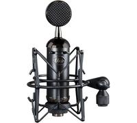 ASFASFq-Blue Microphones Micro XLR Blue Blackout Spark SL, Micro à condensateur pour Enregistrement Pro, Streaming, Micro Gaming, Podcast, Capsule Cardioïde Large, Support Anti-Choc et Coque Protecti