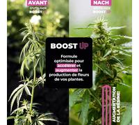 Asfasfq-Boost Up Engrais Stimulateur De Floraison Bio Stimulateur Pour Plantes Et Cultures 250 Ml Accélérateur De Production De Fleurs Et Fruits Compacts Et Résineux