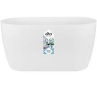 ASFASFq-Brussels Orchidée Duo 25 - Pot De Fleurs pour Intérieur - Ø 24.8 x H 12.0 cm - Blanc/Blanc