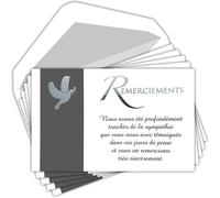 Asfasfq-C5272 Remerciements Condoléances Lot 5 Cartes Identiques Colombe De La Paix Texte Argenté + 5 Enveloppes Blanches Format 9x14cm Rameau Olivier Décès Obsèques Deuil Pochette Fabriqué En France