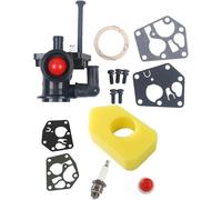ASFASFq-Carkio Carburateur avec filtre à air 698369 Compatible with Briggs & Stratton 795477, 795469, 794147, 699660, 794161, 498811