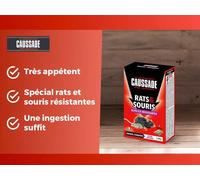ASFASFq-CAUSSADE Anti Rats & Souris - Efficacité Radicale - Lieux Secs - 6 Sachets Céréales - Prêt à l'emploi - Une Ingestion Suffit - Fabriqué en France - 150g CARSCBR150