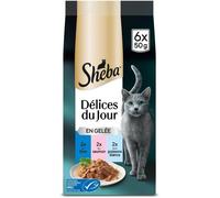 Asfasfq-Délices Du Jour En Gelée Poisson Pour Chat 6 X 50 G - Lot De 12
