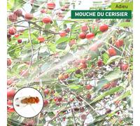 ASFASFq-Filet Anti Mouche Suzukii Protection Contre Les Insectes et Les Oiseaux pour Arbres fruitiers, Blanc, 4 x 5 m, 06778