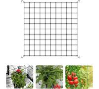 ASFASFq-Filet de Tente de Culture 100 X 100 cm, Filet Palissage,Filet à Plantes grimpantes, Filet de Treillis,Filet élastique pour Plantesavec 4 Crochets, pour Plantes,légumes,Fruits,Fleurs