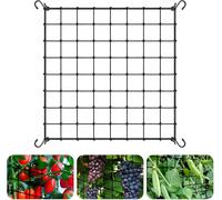 ASFASFq-Filet de Tente de Culture 120 X 120 cm, Filet Palissage pour Scrog Net avec 4 Crochets, Treillis Élastique en Maille pour Plantes, Légumes, Fruits, Fleurs, Jardin, Balcons
