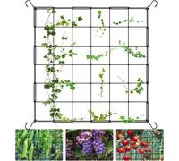 ASFASFq-Filet de Tente de Culture 60 X 60 cm, Filet Palissage,