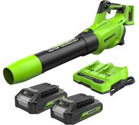ASFASFq-Greenworks 2x24V Souffleur à Batterie Axial de Feuilles Sans Fil avec Moteur Sans Balai, Fonction Turbo, 217 km/h, 16,4 m³/min, AVEC Deux Batteries 24V 2Ah et Chargeur, Garantie 3 Ans GD24X2A